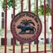 CBDC a Solution to Slow Cross Border Payments