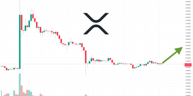 XRP Climbs 1% – Is This a New Rally Beginning?