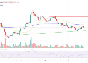 Solana Price Prediction as Accumulation Continues at $20 Level – Can SOL Reach $1,000 in the Next Bull Run?