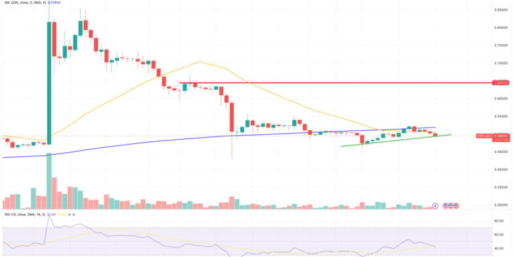 Will XRP See a 30% Surge Next Month?