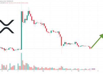 XRP Price Prediction as $0.50 Level Fails to Hold – Will XRP Keep Falling?