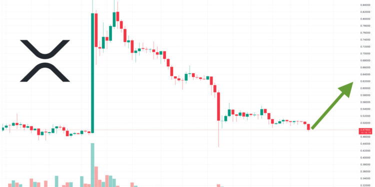 XRP Price Prediction as $0.50 Level Fails to Hold – Will XRP Keep Falling?