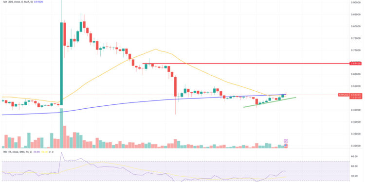 XRP Price Prediction as Market Bounce Sends XRP Up 8% – Is a New Bull Rally Starting?