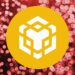 Is Binance Coin Going to Zero? BNB Price Drops 1% as Newcomer Coin Races Past $750,000 Milestone