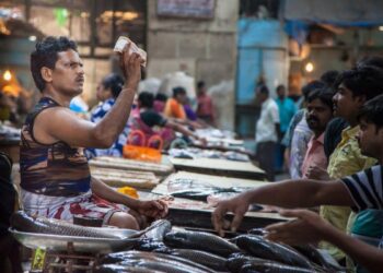 Indian Banks Offer Rewards to Encourage Digital Rupee Adoption