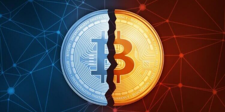 What To Expect If Historical Bitcoin Halving Cycles Repeat