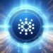 Cardano Whale Addresses Continue To Fall, What Does This Mean For ADA Price?