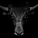 Crypto Spot Trading Volumes Climb To 8-Month Highs