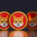New SHIB-Based Token On The Way? Update