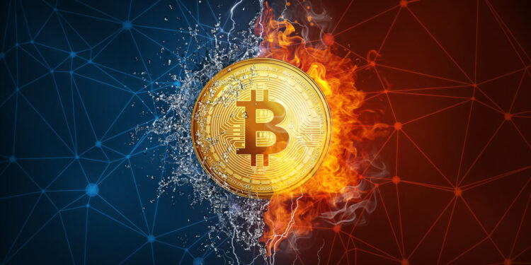 Ex-PayPal President David Marcus Labels Bitcoin as Sole ‘Neutral Internet Money’