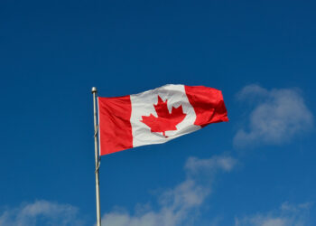 Bank of Canada Assesses DeFi’s Innovation and Challenges on Financial Markets