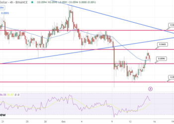 DOGE Rallies Up 4% as End of Year Bull Market Approaches – $1 Incoming?