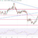 DOGE Rallies Up 4% as End of Year Bull Market Approaches – $1 Incoming?