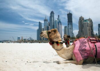 Dubai Regulator Halts Sale and Distribution of Islamic Coin – What’s Going On?
