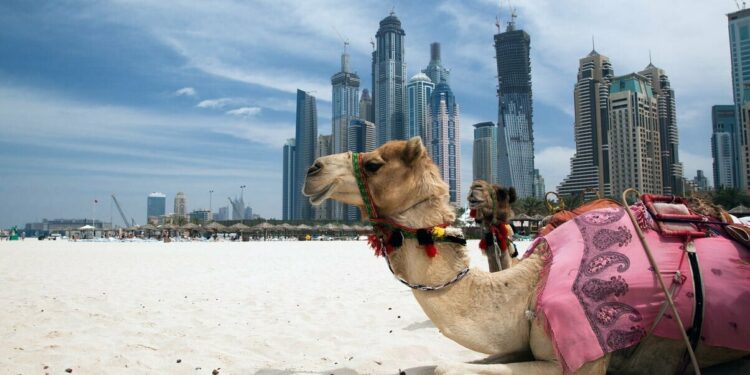 Dubai Regulator Halts Sale and Distribution of Islamic Coin – What’s Going On?