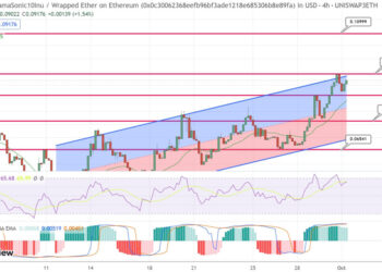 HarryPotterObamaSonic10Inu Surges 14% as Whales Target BTC Stake-To-Mine Token