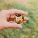Shiba Inu Burn Rate Nosedives Following 7,700% Jump, What Happened?