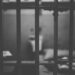 Doctor Pleads Guilty to Bitcoin-Paid Darknet Murder Plot Against Girlfriend