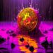 Here’s What’s in Store for Bitcoin (BTC) and the S&P 500 for Q4 2023, According to Crypto Analyst Jason Pizzino