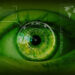 Eyeball-Scanning Project Worldcoin to Reward Operators in WLD Token Instead of USDC