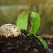 This Week on Crypto Twitter: Springtime for Degens?