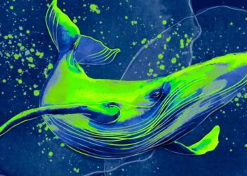 Bitcoin Whales Unload About $2,220,000,000 in BTC in Just One Week: Crypto Analyst