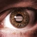 Worldcoin Plummets as OpenAI Pushes Out Founder Sam Altman
