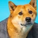 This Week in Coins: Meme Coins Make Comeback, Bitcoin Holds Steady and Avalanche Blows Up