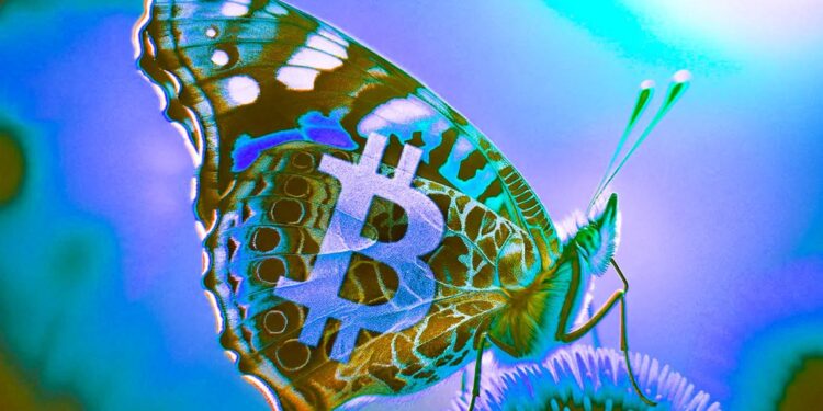 Macro Indicators Suggesting Bitcoin Rallies Just Getting Started, According to Ex-Goldman Sachs Executive