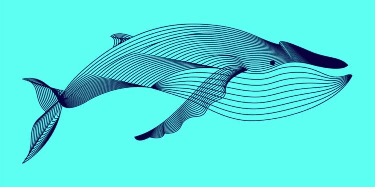Crypto Whale With $158,180,000 Worth of Chainlink Starts Sending LINK to Binance: Lookonchain