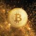 Why This Fidelity Investments Director Believes Bitcoin Is ‘Exponential Gold’