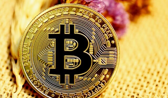 What’s Behind The Bitcoin Price Rally, New Role As CEO, And Adoption