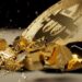 Renowned Economist Warns Of Bitcoin Crash Before Spot ETF Approvals