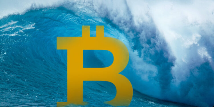 Tripling of Bitcoin Millionaire Wallets in 2023: A Deep Dive into the Crypto Wealth Explosion