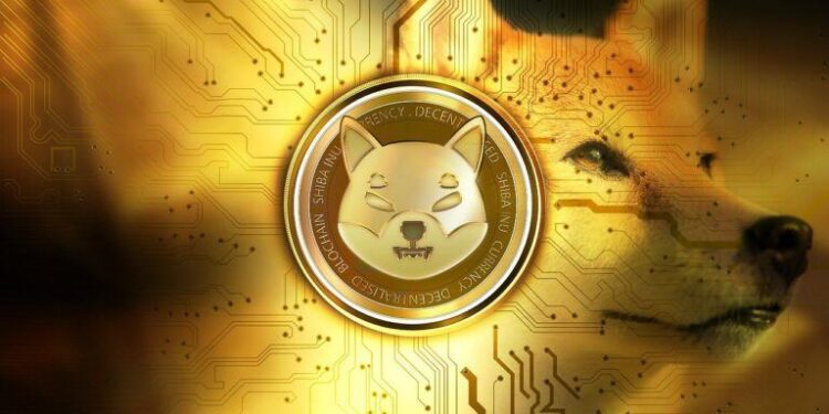 Shiba Inu volume Gains momentum