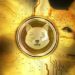 Shiba Inu volume Gains momentum