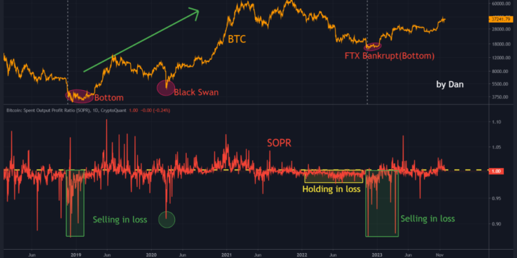Bitcoin Bull Run Is Only Just Starting, According To This Metric