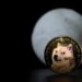 Howling At The Moon: 23,000% Dogecoin Signal Reawakens