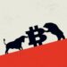 Bearish Divergence? Bitcoin Price Rises, But Network Growth Sends Warning Signals