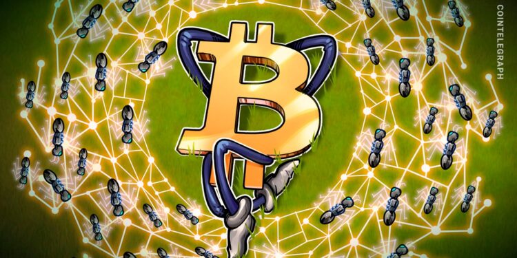 Bitcoin’s top of funnel is becoming less noisy, suggests Swan Bitcoin CEO