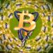 Bitcoin’s top of funnel is becoming less noisy, suggests Swan Bitcoin CEO