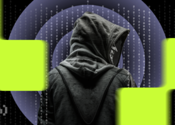 Platypus Hackers Cleared Of All Charges: Report