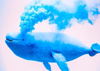Whales Move Over $880,000,000 in Bitcoin, Ethereum, Solana, XRP and Dogecoin – Here’s Where the Crypto’s Going