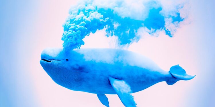 Whales Move Over $880,000,000 in Bitcoin, Ethereum, Solana, XRP and Dogecoin – Here’s Where the Crypto’s Going
