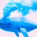 Whales Move Over $880,000,000 in Bitcoin, Ethereum, Solana, XRP and Dogecoin – Here’s Where the Crypto’s Going