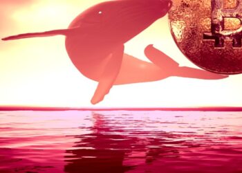 ‘Smart Whale’ Profits Over $65,000,000 in Bitcoin After Masterful BTC Trading: Lookonchain