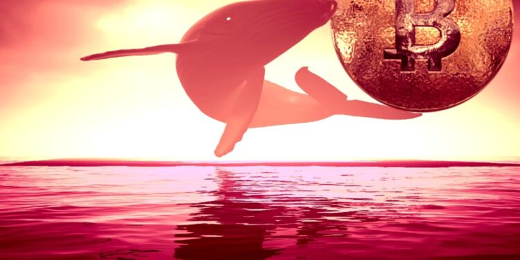 ‘Smart Whale’ Profits Over $65,000,000 in Bitcoin After Masterful BTC Trading: Lookonchain