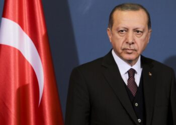 Turkey Names Blockchain Expert to Central Bank Committee