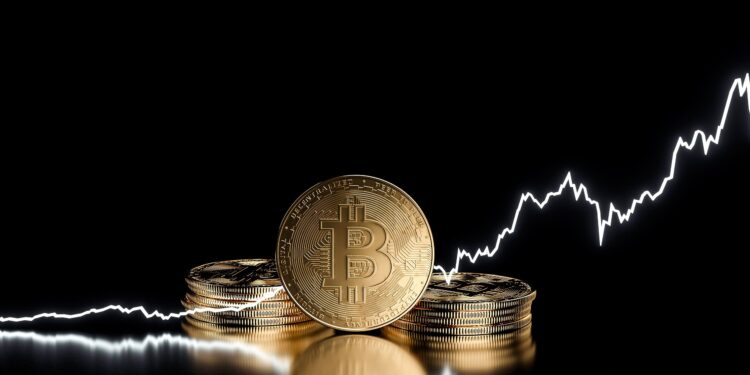 Bitcoin Cycle Analysis And Macro Factors Reveal When Price Will Reach $125,000