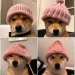 This Week on Crypto Twitter: New Dog, Old Tricks